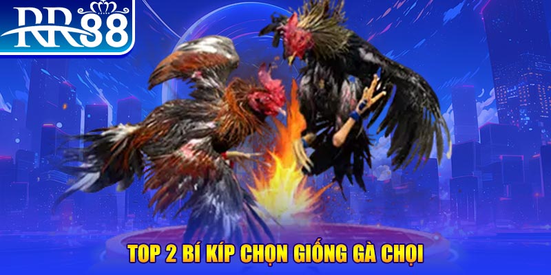 8kbet bắn cá h5