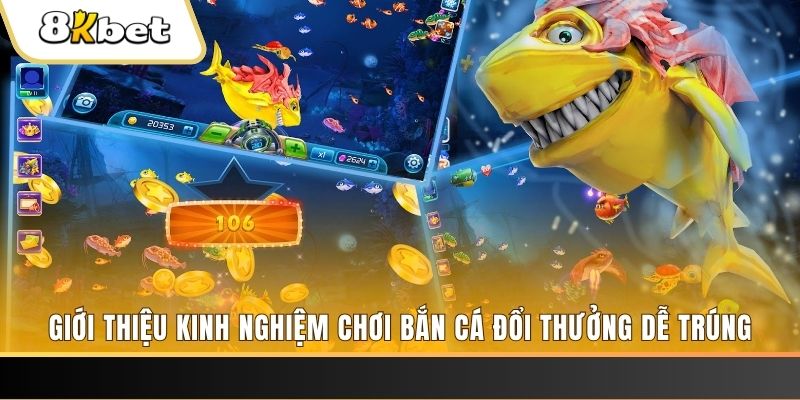 8kbet xổ số miền bắc hôm