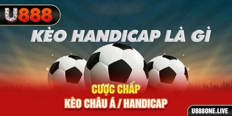 8kbet tải game đánh bài tiến lên miền nam về máy tính