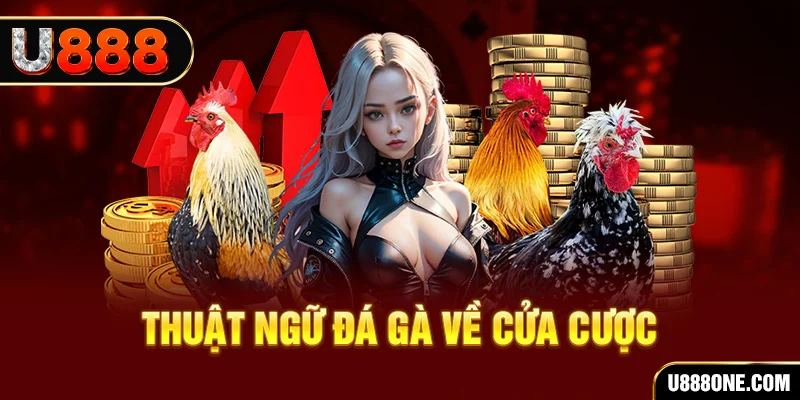 8kbet da ga 88