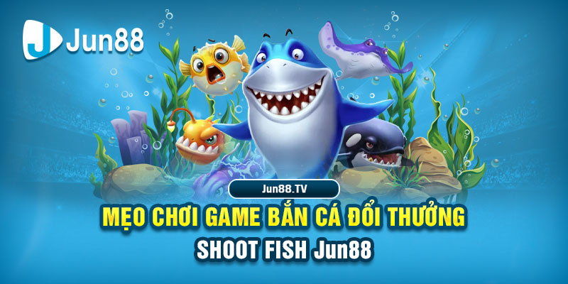 8kbet tải game đánh bài online về máy tính