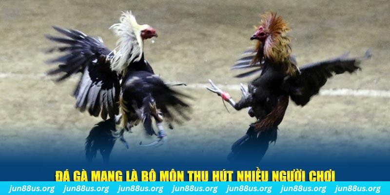8kbet xổ số long an