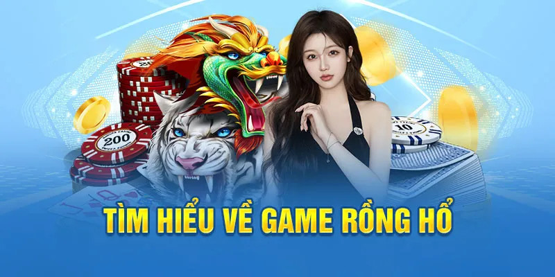 8kbet ai tool slot 8.0