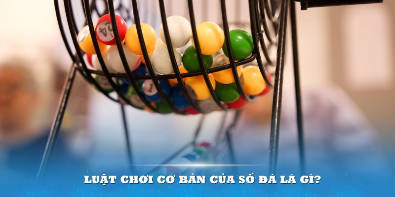 8kbet Đĩa màu ace