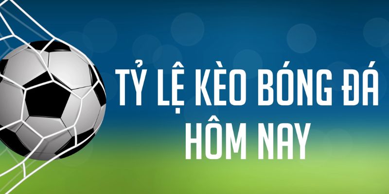 8kbet ÁT CHỦ MÁY HOA QUẢ THẦN TÀI