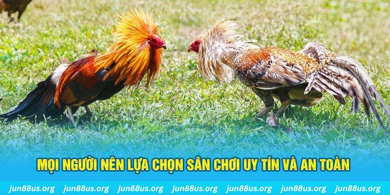 8kbet Tài Xỉu