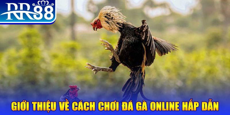 8kbet what is a video slot