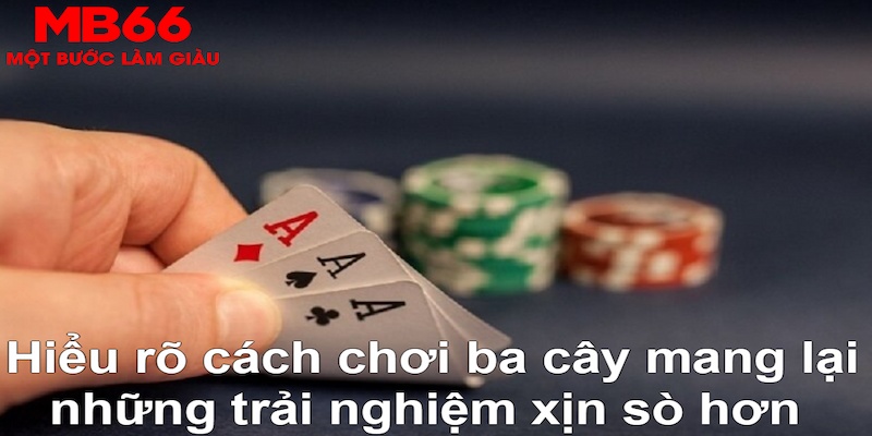 8kbet DB Trực Tuyến