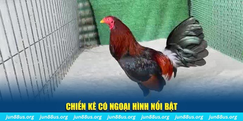 8kbet nhạc slot là gì